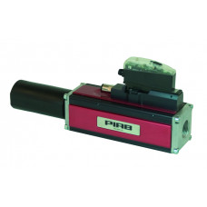 P6010 AVM™2